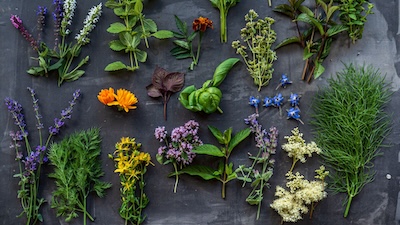 Naturopathie